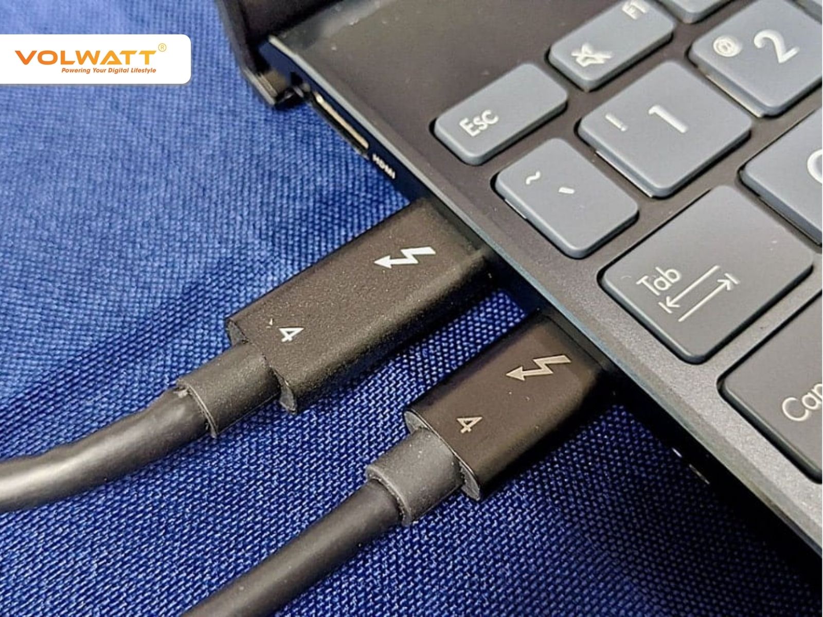 Thunderbolt 4 hỗ trợ xuất hình ảnh lên đến 8K