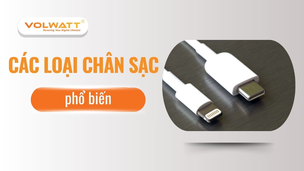 các loại chân sạc