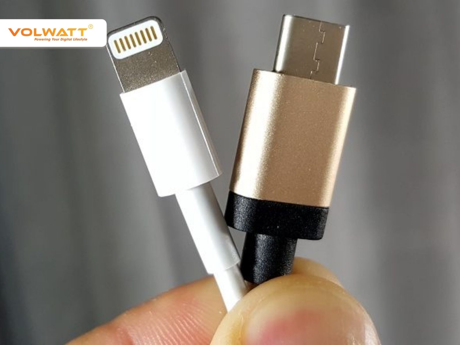 Về tính tương thích và hệ sinh thái